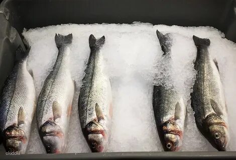 Как правильно морозить рыбу