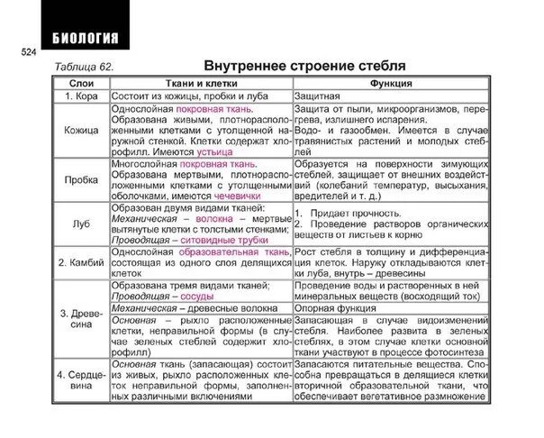 Таблица название тканей и их функции