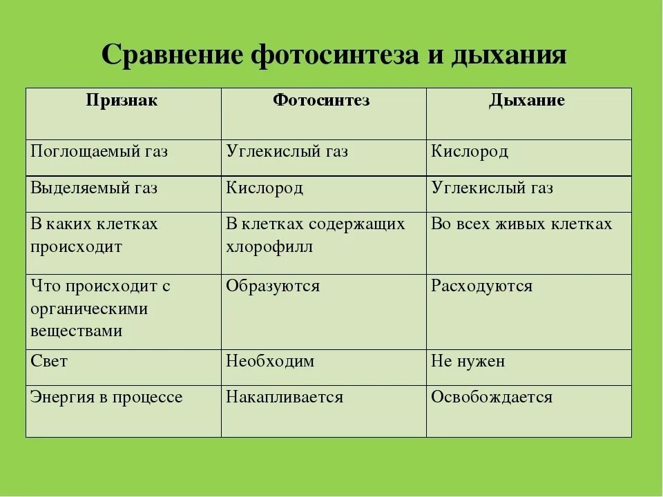 Какие типы организмов играют основную роль. Процесс дыхания и фотосинтеза у растений. Сравнение процессов фотосинтеза и дыхания. Сравнение дыхания и фотосинтеза таблица. Сравните процессы дыхания и фотосинтеза.