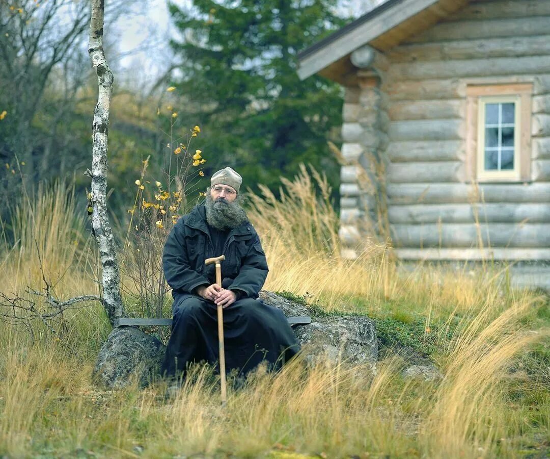 отец живет в лесу. владимир сухов лес. отец живет в лесу. отец живет в лесу. дорога фильм 2009 гай пирс.