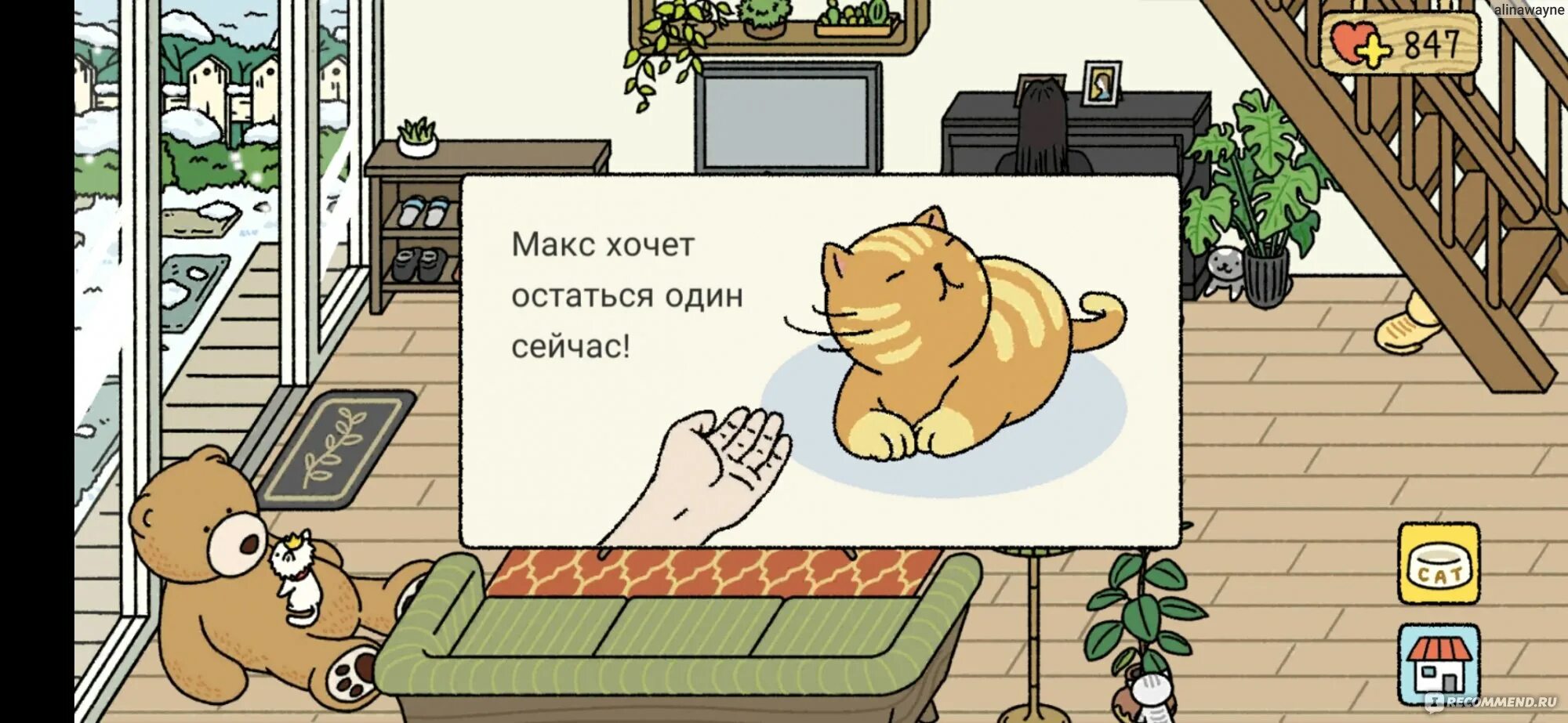 Милый дом игра. Милый дом игра котики. Милая игра с котиками. Мой кот игра.