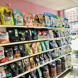 Квартира анапу с животным