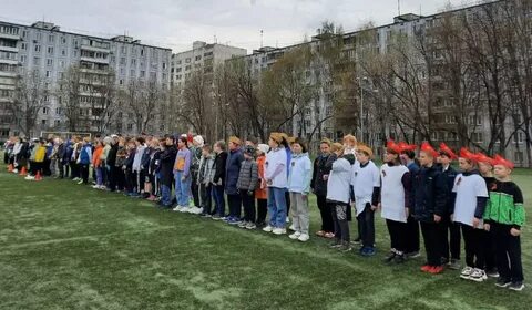 Роо новости