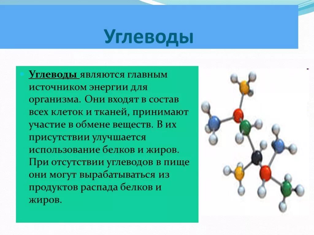 Запасным углеводом человека является. Углеводы являются источником энергии. Основным источником энергии в организме.