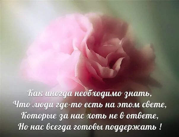 У каждого на свете стихотворение. Стихи про одиночество. У каждого на свете стихотворение. У каждого на свете стихотворение. Стихотворение хорошо на свете жить.