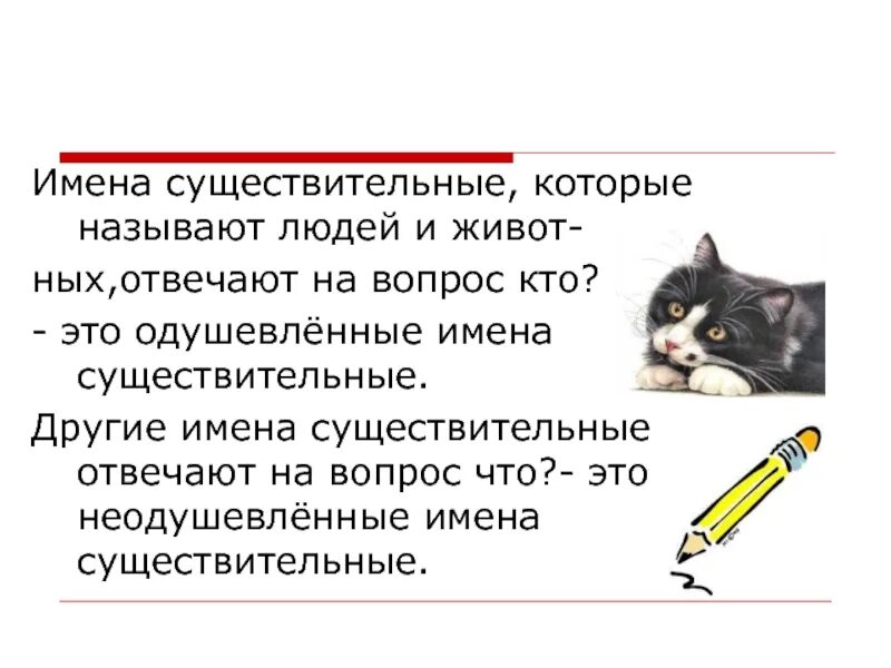 Существительные которые отвечают на вопрос кто. Существительное отвечает на вопрос они называют людей и животных. Имена существительные отвечают на вопросы. Имена существительные на вопрос кто.