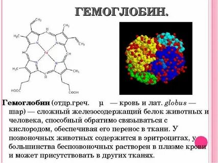 Гемоглобин общий это
