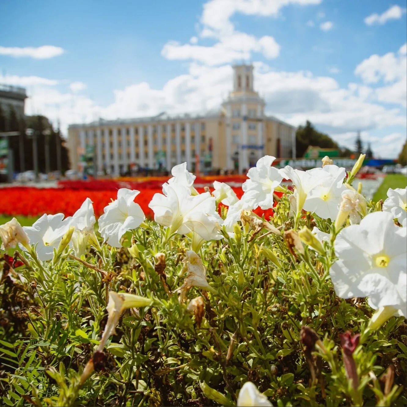 Что сейчас на месте кемерово. Летний Кемерово. Кемерово летом. Летние цветы Кузбасса. Красивые места в Кемерово.