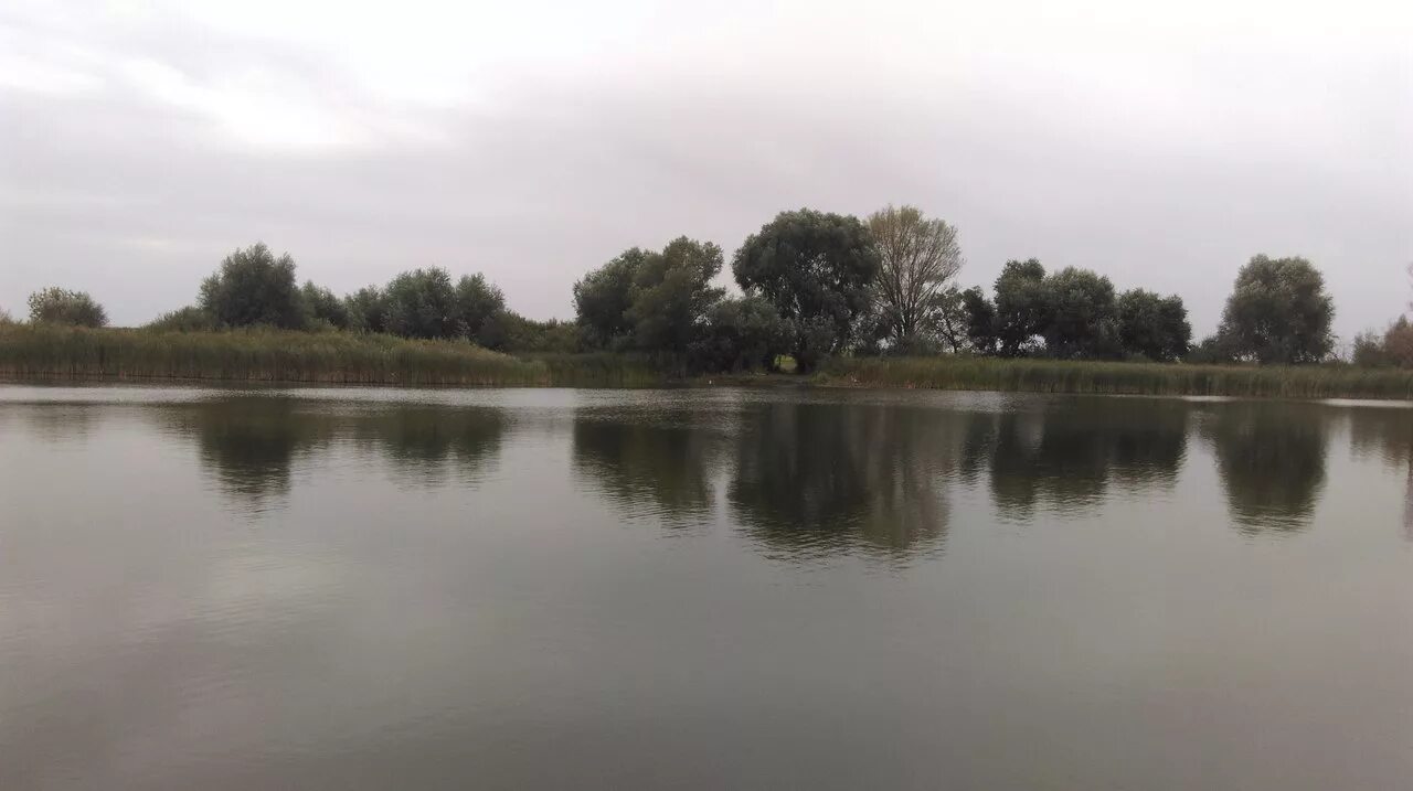 Пруд заросший парижская коммуна. Село парижская коммуна. Парижская коммуна воронежская область пруд. Село парижская коммуна воронежская область. Парижские пруды воронежская область.