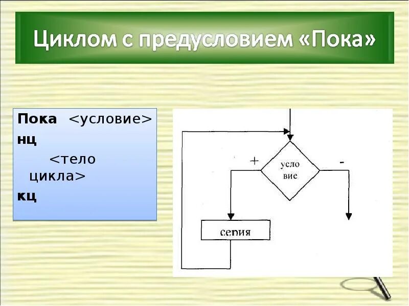 Цикл пока в информатике. Цикл пока. тело цикла это в информатике. цикл пока информатика. информатика что такое условие? тело цикла?.