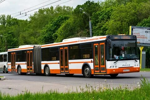 Автобус гармошка