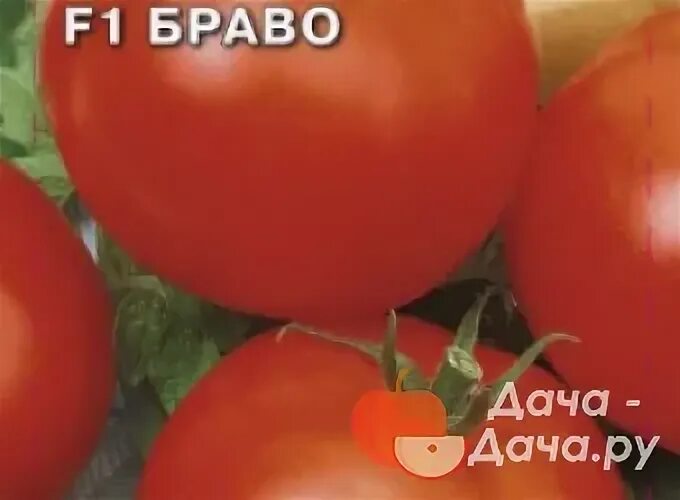Томат браво