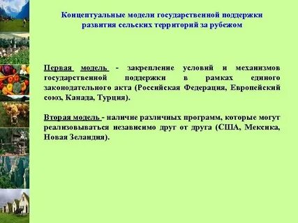 Формы развития сельских территорий