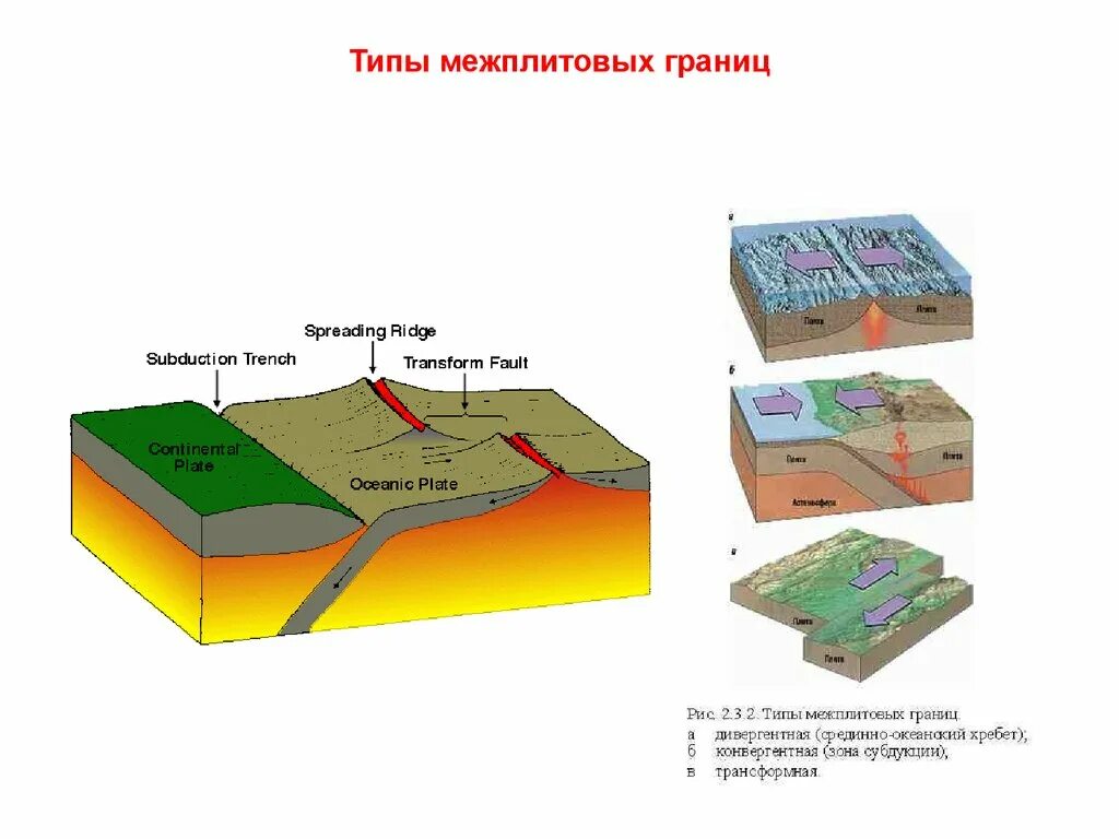 Презентация движение литосферных плит землетрясения. Движение литосферных плит землетрясения. Литосферные плиты землетрясение. Дивергентные границы землетрясения. Литосферные плиты при землетрясении.