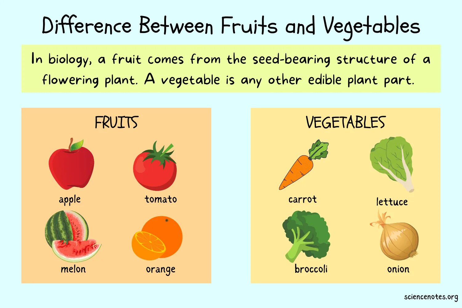 The fruits are together перевод. Fruit or Fruits. Овощи vs фрукты. Vegetables are. Fruit or Fruits как правильно.