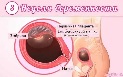 Состояние первые недели беременности
