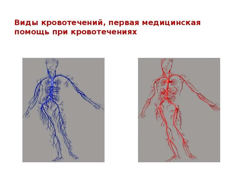 Артериальное кровотечение. Внутреннее артериальное кровотечение.