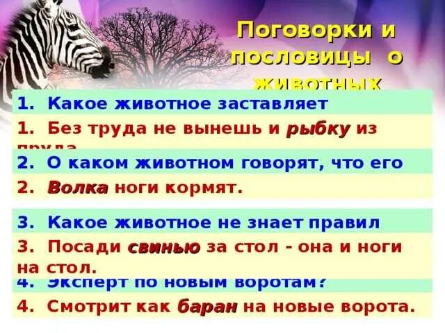 Предложение со словом зверь. Пословицы о животных. Поговорки о животных. Пословицы и поговорки о животных. Поговорки о животных для 2 класса.