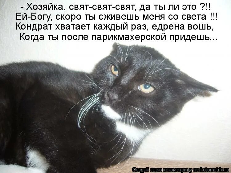 хозяйка обижается. хозяйка обижается. обиды не прощаю. идеальная женщина юмор. строить глазки.