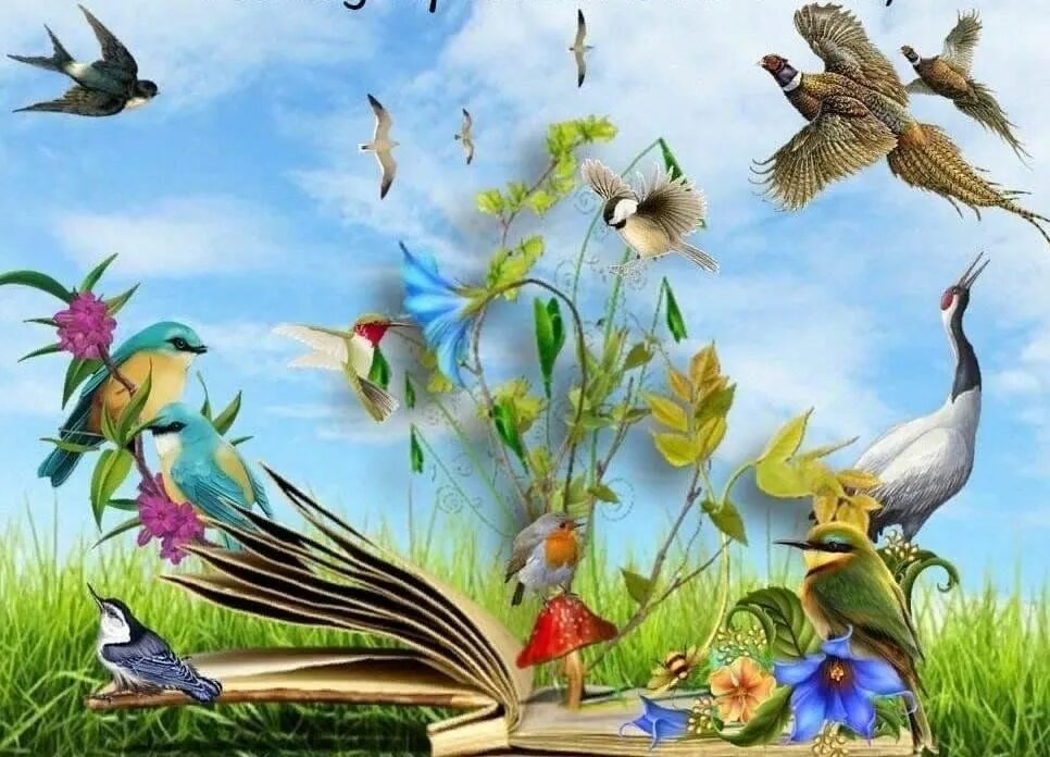 Международный день птиц отмечается 1 апреля. Международный день птиц. 1 Апреля Международный день птиц. Международный день Пти. Денптицу.