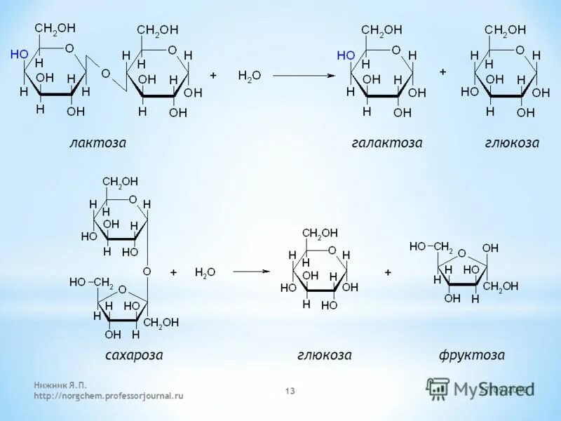 Лактоза с реактивом Фелинга. Галактоза и лактоза формулы. Лактоза h2o галактоза Глюкоза фермент. Лактоза в глюкозу и галактозу. К дисахаридам относятся фруктоза