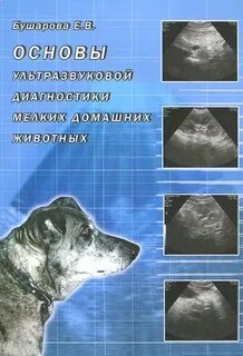 Ответы на тесты ультразвуковая диагностика