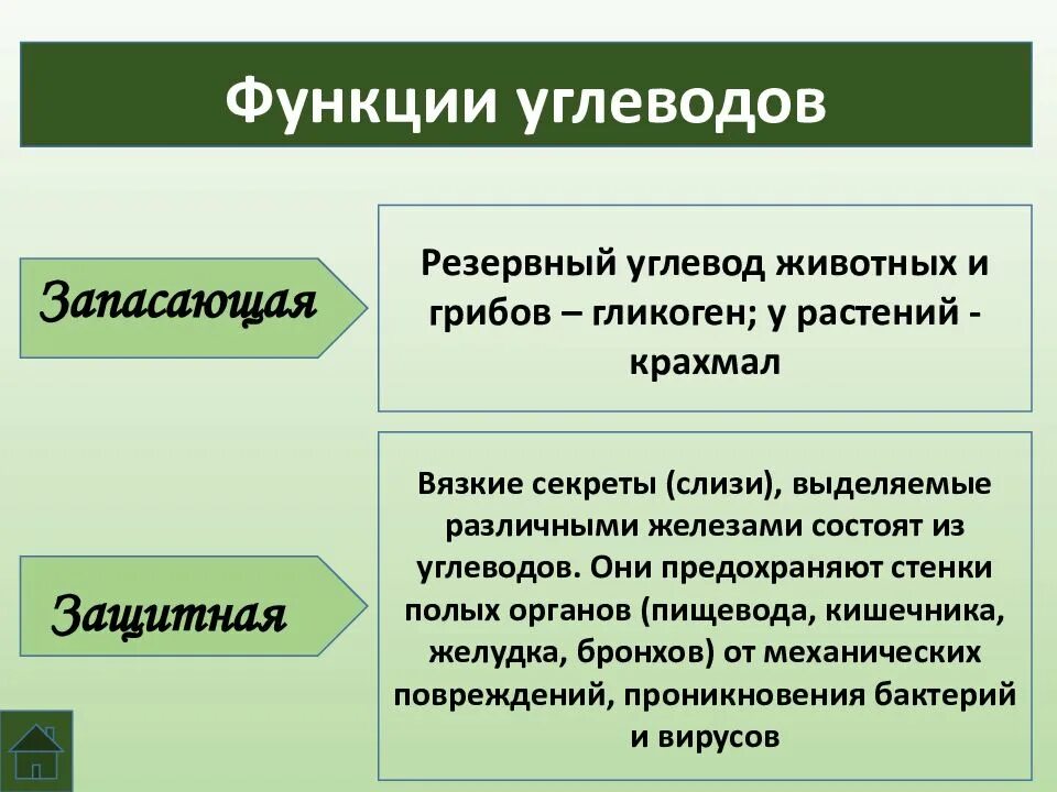 Углеводы их строение и функции. Запасающая функция углеводов. Резервный углевод крахмал. Резервный углевод бактерий.