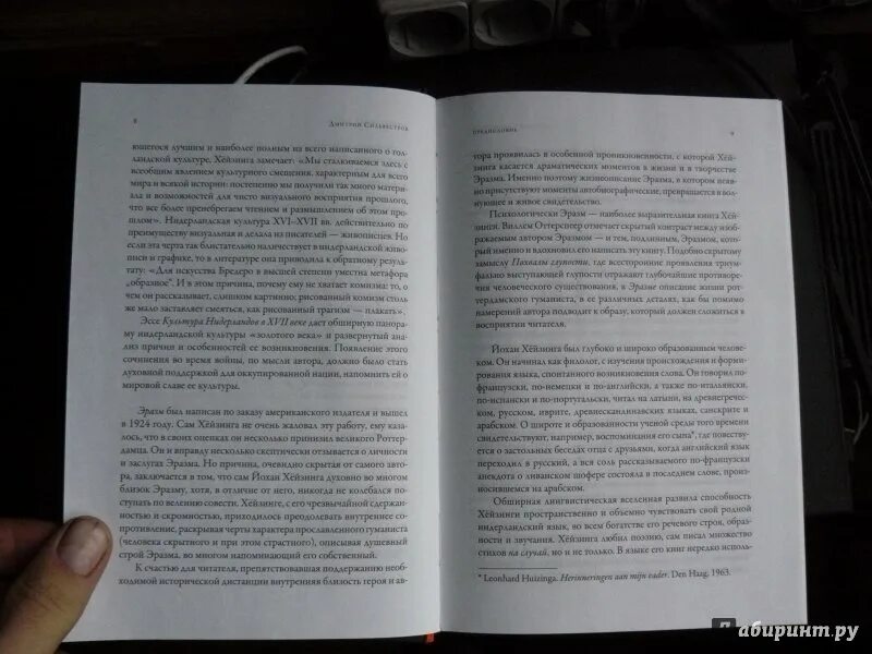 Эссе 19 век в истории. Йохан Хейзинга: культура Нидерландов в XVII веке. Хейзинга культура Нидерландов в 17 веке. Хейзинга Йохан собрание сочинений. Эразм Хейзинга Йохан иллюминатор: беседы о культуре.