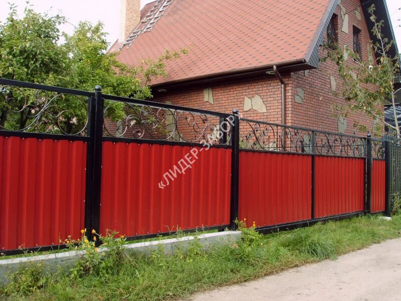 Забор из профнастила с20. Заборы из профнастила заборград. Лучший забор из профлиста. Забор из с10 профлист металпрофиль. Забор рал 3011.