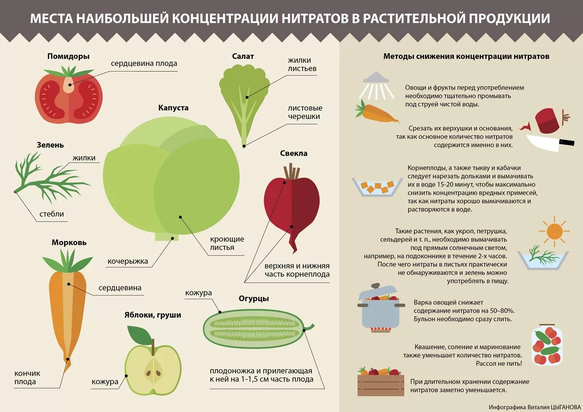 Места наибольшей концентрации нитратов в растительной продукции. Рекомендации по снижению нитратов в продуктах питания.. Способы уменьшения нитратов в овощах и фруктов. Нитраты в овощах и фруктах. Полезные вещества в фруктах