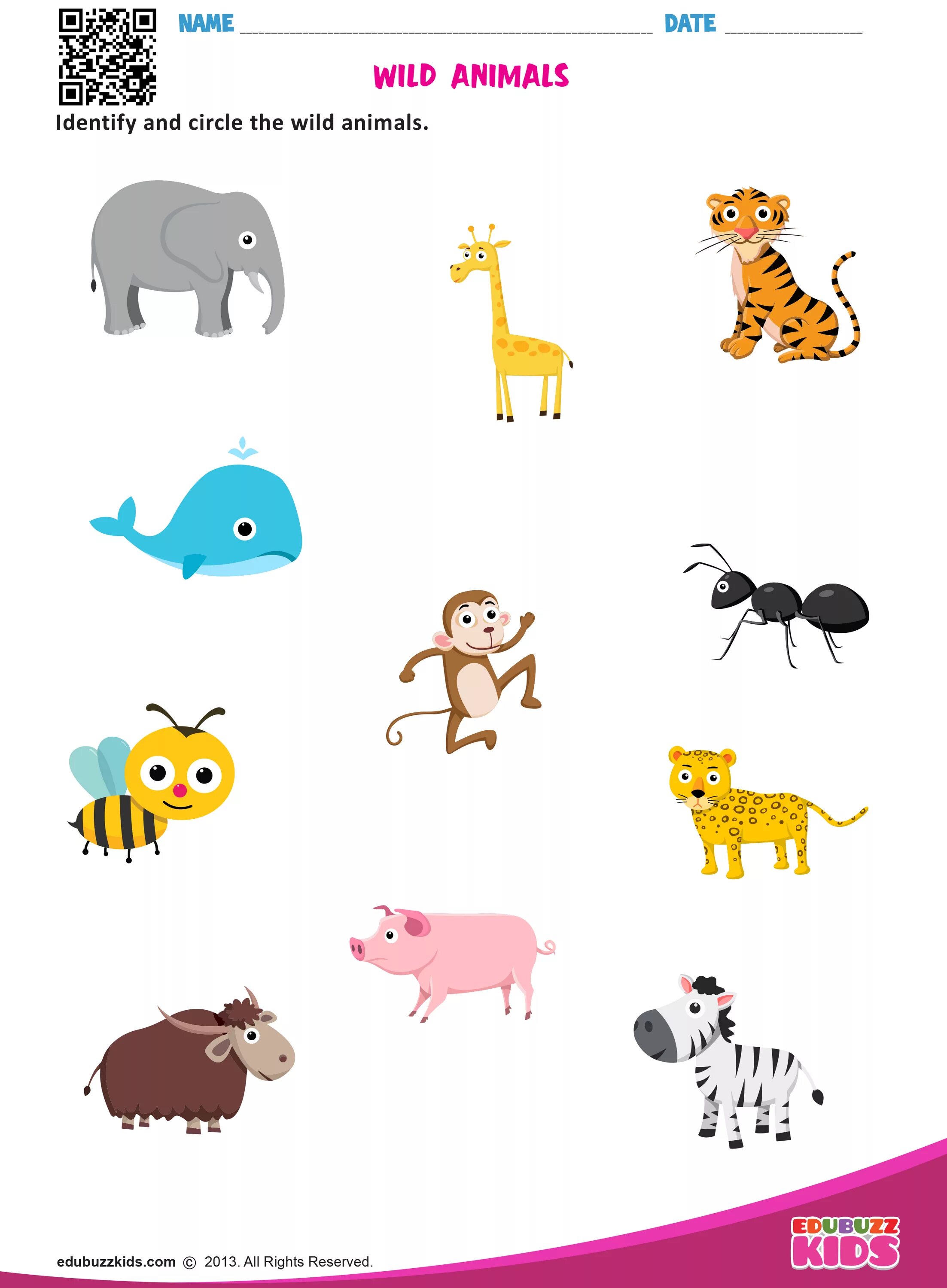 Worksheets животные. Английский задания для детей Zoo. Animals task for children. Animals tasks for Kids. Wild animals worksheet