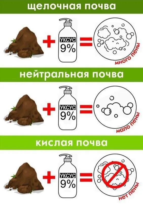 Как узнать что почва кислая