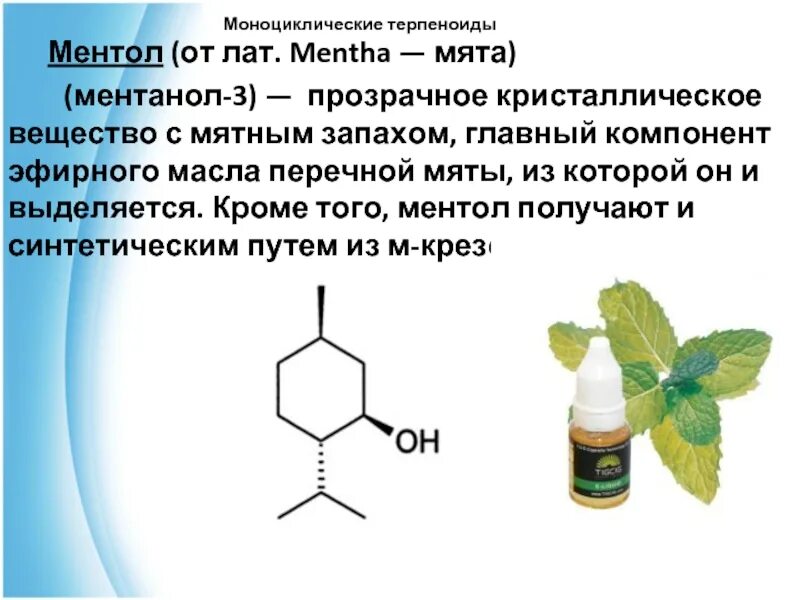 Ментол формула. Биологическая роль ментола. терпеноиды. ментол классификация.
