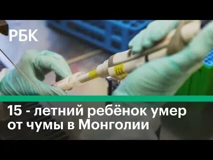 Чума 2024