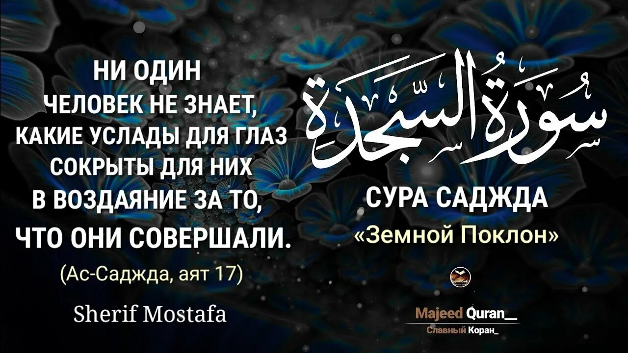 Сура путь. Сура АС Саджда. Сура Саджда текст. Сура Саджда на арабском. Сура Аль Саджда транскрипция.