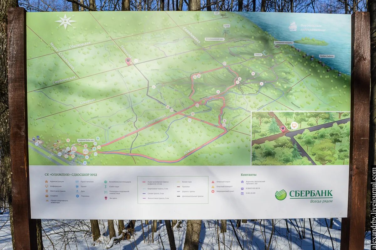 Парк олимпик воронеж. Карта парка Олимпик Воронеж. Карты Воронежа для ориентирования Олимпик. Олимпик Воронеж схема трасс.