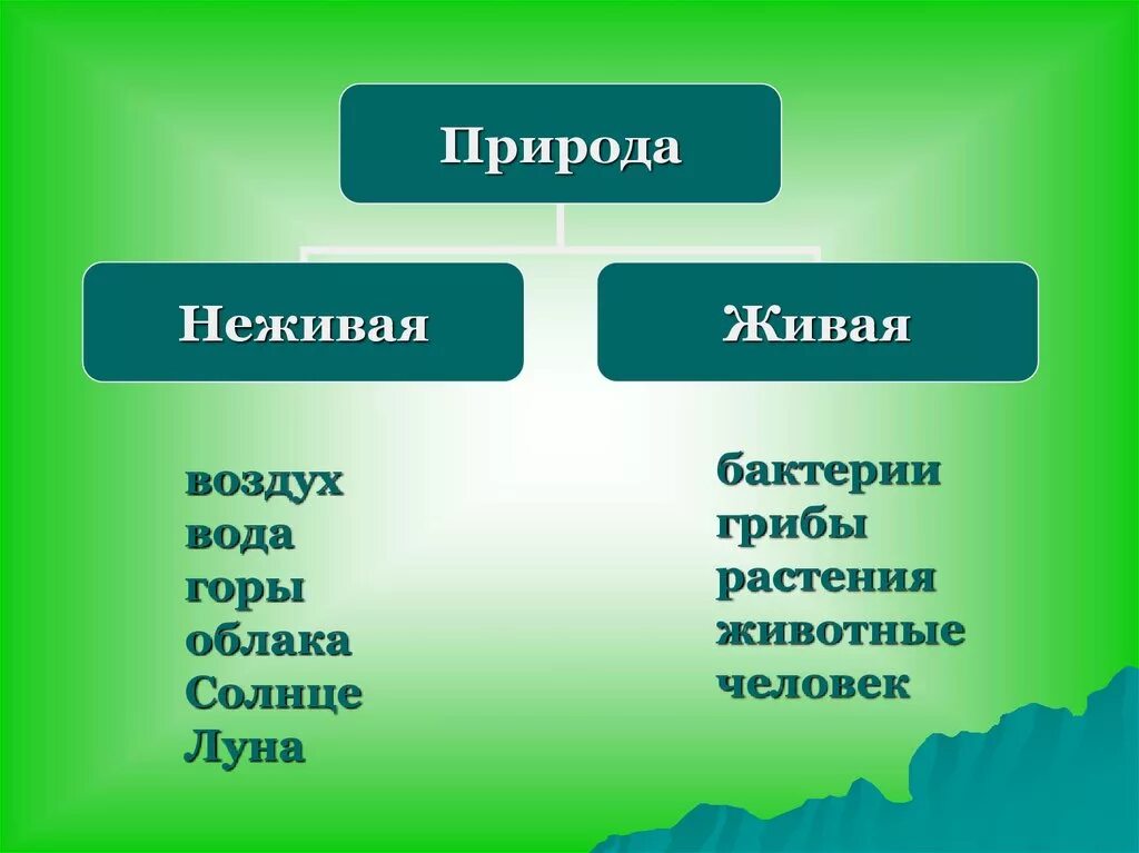 Привести пример живой и неживой природы. Живая и неживая природа. Живая природа и ге Живая. Живая не жмвая природа. Живыя не зивая природа.