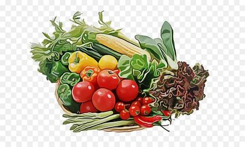 Plants nutrition