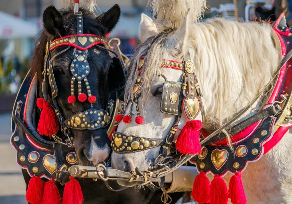 Конская упряжь, сбруя. Конская упряжь оружейная палата. Конская украшая. Конские украшения. Конская сбруя.