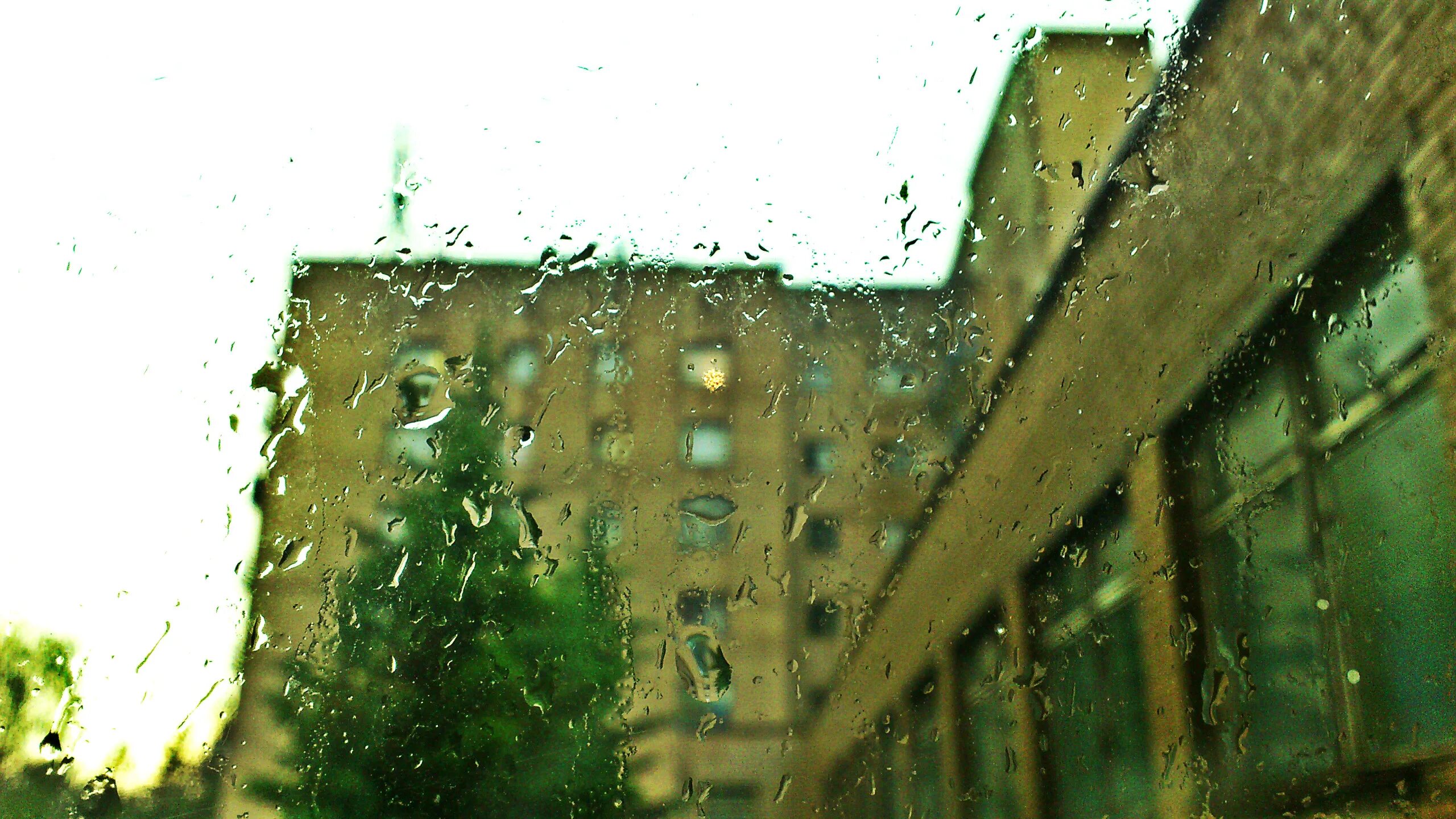 Дождь на елку. Фасад дома под дождем. Стена дома дождь. Дождь на улице елка.
