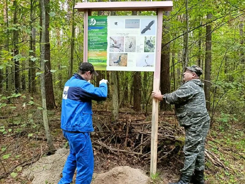 18-22 апреля марш парков дни заповедников и национальных парков. Особо охраняемые природные территории. Охраняемые территории заповедники национальные парки схемы. Объединение заповедников в рамках одной международной сети. Объединение заповедников в рамках одной международной сети.