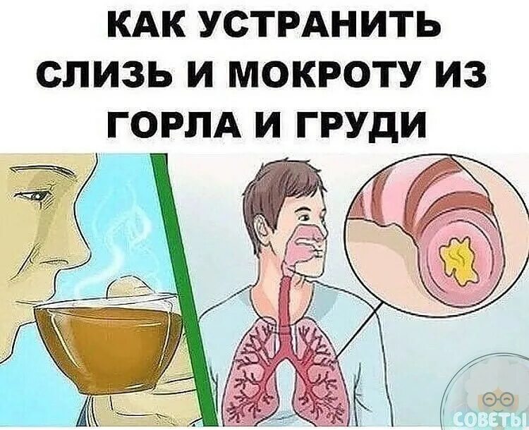 как выводить слизь из горла