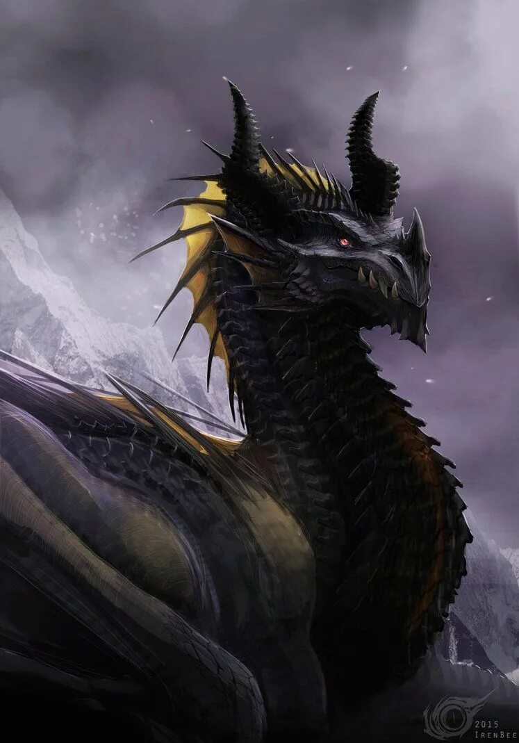 Иценский чёрный дракон. Дракон Блэк драгон. Драгон Найт черный дракон. Гебридский чёрный дракон.