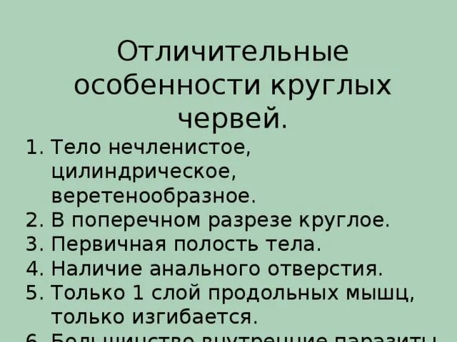 Тело нечленистое округлое