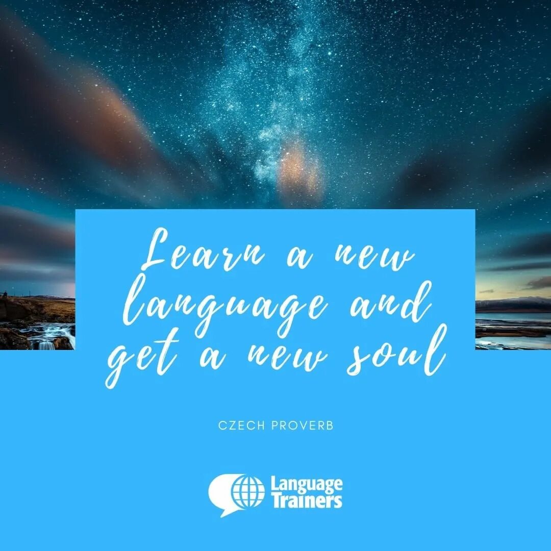 React next js. Next language. React js + next js. Сколько стоит скотелефонwileyfox. Школа английского языка екатеринбург.