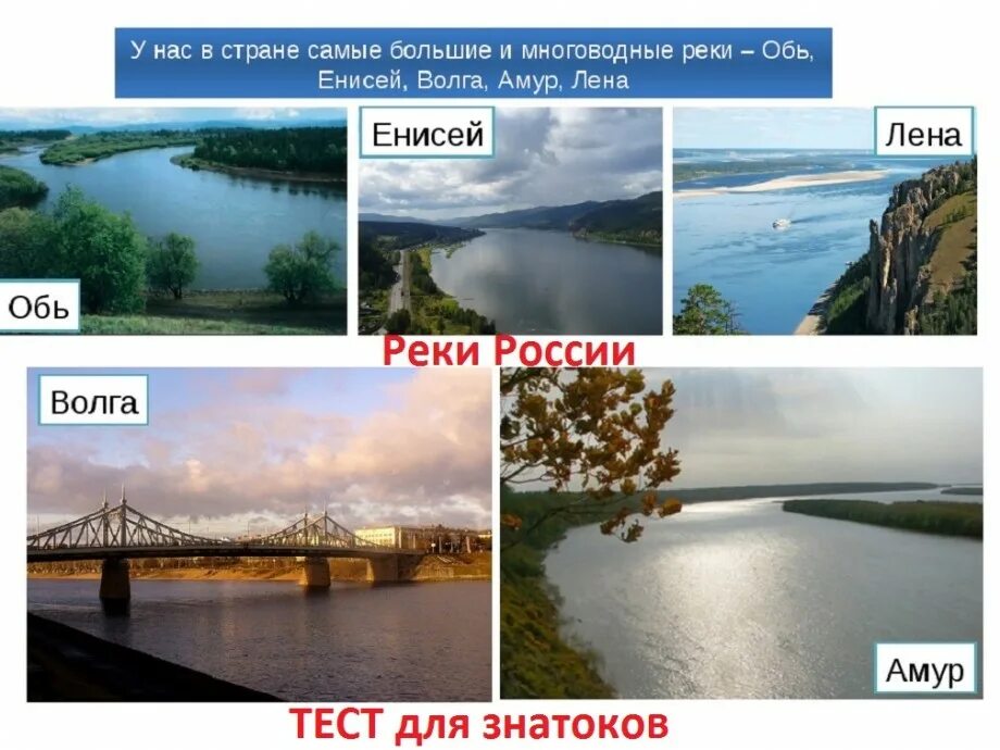 Дон обь лена индигирка это что. Реки России: Волга,Обь, Енисей, Лена Амур. Амур Енисей Лена. Реки Лена Енисей Волга Обь. Река Обь, Енисей, Лена , Амур.