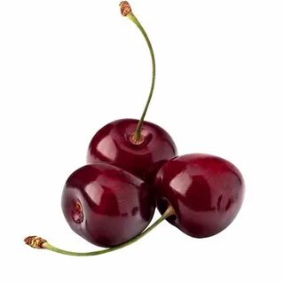 Sour cherry