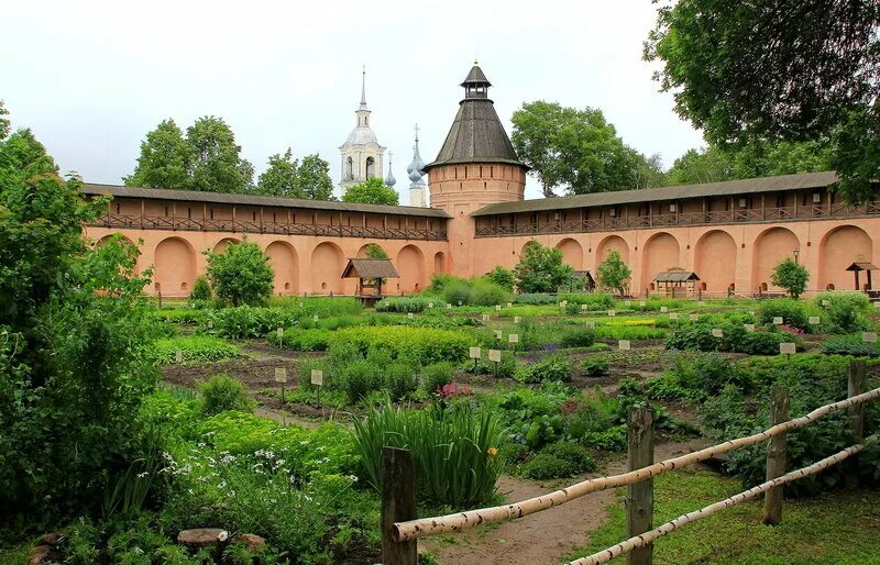 Верховой сад. Суздаль Спасо-Евфимиев монастырь Аптекарский огород. Спасо-Евфимиев монастырь Аптекарский сад. Аптекарский огород в Спасо-Ефимовском монастыре. Аптекарский огород Петра 1 в Москве.