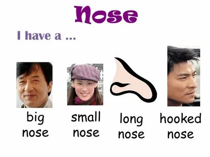 It s got a big nose перевод