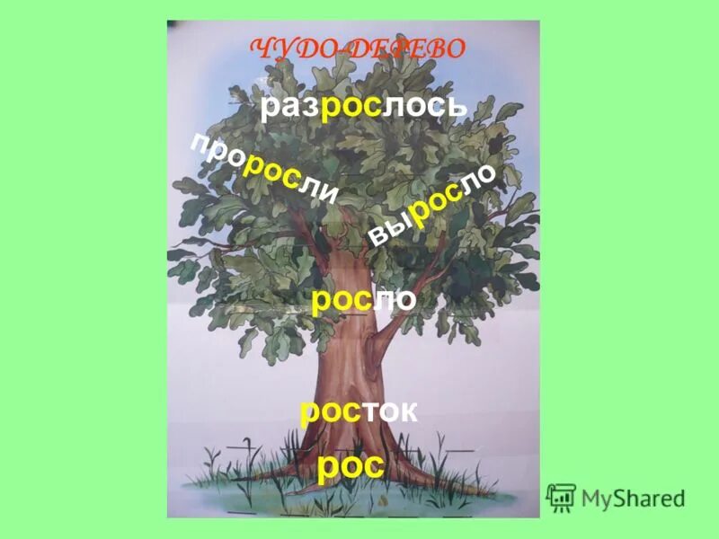 Семья слов. Словообразовательное дерево. Дерево с однокоренными словами. Проект семья слов 3 класс. Семя слов дерево